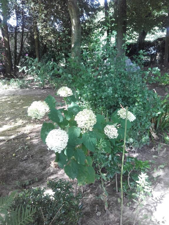 הונפלר Chambres D'Hotes Manoir Du Buquet מראה חיצוני תמונה